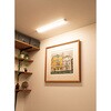 ALT-3060RE(L) LED多目的灯 リモコン60cm 電球色 ELPA 05023449