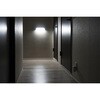 ALT-30AEXC LED多目的灯 電源延長ケーブル ELPA 05023537