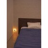 PM-AC210C(WH) LEDセンサー付ライト 間接光 WHマル ELPA 05023607