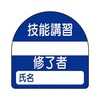 05063007