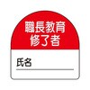 05063041