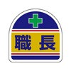 05063068