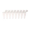 PCR 8チューブ 0.2mL 1箱 120個入 Celltreat