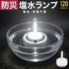 mono121-wh 塩水フローティングランプ TAIGASHOJI(大河商事) 05084489