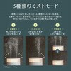 MES-91 ダブルミスト卓上加湿器 macros(マクロス) 05099451