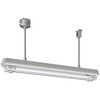 EXILF2421SA9N2-22 防爆形直管LEDランプ照明器具2灯用パイプ吊形 岩崎電気 05282738