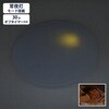 LE-Y29D8MK LEDシーリングライト 調光 昼光色 リモコン付 Φ400mm オーム電機 05286902