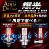 AQ-L011 爆光 PLATINUM LEDバルブ AQUA DREAM(アクアドリーム) 05296090