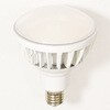 L40V2-J110-30K ハイスペックエコビック40W 日動工業 05331607