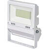LJS-FH50D-W-25K フラットライト 常設用 日動工業 05331686