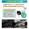WTW-NV256GP-4TB+WTW-SXPR2319GABx1+WTW-CAT5-20Gx1 WTW˖{ PoE4ch^摕u+500fhƃJ1Zbg ˖{ 05368977