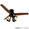 TLFR4030 シーリングファン タキズミ(TAKIZUMI) 05486569