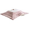 NCF-10575H(WH/NA)+AKF-1824(LV/IV) 05487522