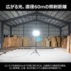 6300099181 LEDバルーンライト 500W オールイン1ケース AirGlow EVO グリーンクロス 05491189