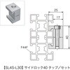 SL4S-L30 レコフレーム サイドロック タップセット40 レコフレーム(ユキ技研) 05508829