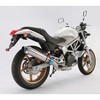 G107-53-S1J R-EVOtGLq[g`^TCT[JMCA VTR250 BEAMS(r[X) 05621972
