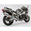 D302-53-T1S R-EVO tGL q[g`^TCT[ GSX1300R '99`'07 BEAMS(r[X) 05622313