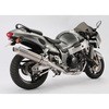 D302-53-T3S R-EVO tGL `^\bhTCT[ GSX1300R '99`'07 BEAMS(r[X) 05622322