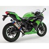 D415-53-P1S R-EVO XbvI q[g`^ Ninja250 '13` BEAMS(r[X) 05623047