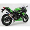 D415-53-S1S R-EVO tGL q[g`^TCT[ Ninja250 '13` BEAMS(r[X) 05623065
