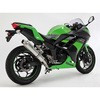 D415-53-S6S R-EVO tGL XeXTCT[ Ninja250 '13` BEAMS(r[X) 05623074