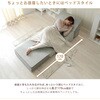 A1841a-a-266BR 3wayローソファー セルタン 05665602