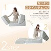 A1841a-a-266BR 3wayローソファー セルタン 05665602