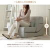 A1841a-a-266BR 3wayローソファー セルタン 05665602
