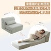 A1841a-a-266BR 3wayローソファー セルタン 05665602