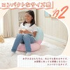 A1923a-a-748BE/740PIK アイスクリーム座椅子 セルタン 05665340