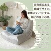A2027a-a-721PIK フレームレスソファ セルタン 05666311