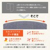 - enetanpo-et-09 エネタンポ 足元 パネルヒーター 遠赤外線 即暖 ワイドサイズ TAIGASHOJI(大河商事) 05687916