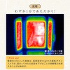 - enetanpo-et-09 エネタンポ 足元 パネルヒーター 遠赤外線 即暖 ワイドサイズ TAIGASHOJI(大河商事) 05687916