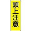 05689075