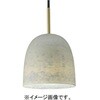 SNP5101V 天井吊下型 LED ペンダント 直付タイプ LED電球交換型 Panasonic(パナソニック) 05692159