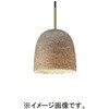 SNP5302V 天井吊下型 LED ペンダント 直付タイプ LED電球交換型 Panasonic(パナソニック) 05692412