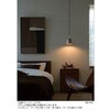 SNP5302V 天井吊下型 LED ペンダント 直付タイプ LED電球交換型 Panasonic(パナソニック) 05692412