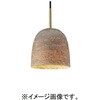 SNP5302L 天井吊下型 LED ペンダント 直付タイプ LED電球交換型 Panasonic(パナソニック) 05693252