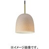SNP5300V 天井吊下型 LED ペンダント 直付タイプ LED電球交換型 Panasonic(パナソニック) 05693410