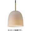 SNP5100V 天井吊下型 LED ペンダント 直付タイプ LED電球交換型 Panasonic(パナソニック) 05694460