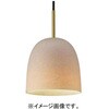 SNP5100L 天井吊下型 LED ペンダント 直付タイプ LED電球交換型 Panasonic(パナソニック) 05695327