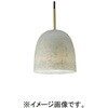 SNP5301V 天井吊下型 LED ペンダント 直付タイプ LED電球交換型 Panasonic(パナソニック) 05696700