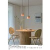 SNP5300L 天井吊下型 LED ペンダント 直付タイプ LED電球交換型 Panasonic(パナソニック) 05697610