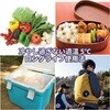 OK0911-10 日本製アルミパック冷感保冷剤 岡潮 05721462