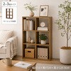 RXS-2x3 NA レクタックス2 ベーシック2x3 AIS (エイ・アイ・エス) 05721857
