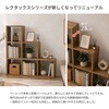 RXS-2x3 NA レクタックス2 ベーシック2x3 AIS (エイ・アイ・エス) 05721857