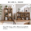 RXS-2x3 NA レクタックス2 ベーシック2x3 AIS (エイ・アイ・エス) 05721857