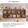 RXS-2x3 NA レクタックス2 ベーシック2x3 AIS (エイ・アイ・エス) 05721857