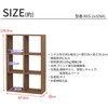 RXS-2x3 NA レクタックス2 ベーシック2x3 AIS (エイ・アイ・エス) 05721857