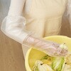 6699 ポリエチレン手袋ロングタイプ30枚 ダンロップ ホームプロダクツ 05726039